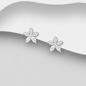 Boucles d'oreilles Etoiles en argent 925ème et Zyrconium